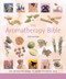 The Aromatherapy Bible (The Definitive Guide to Using Essential Oils) by Gill Farrer-Halls, 9781402730061
