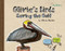 Olivia's Birds (Saving the Gulf) by Olivia Bouler, 9781402786655