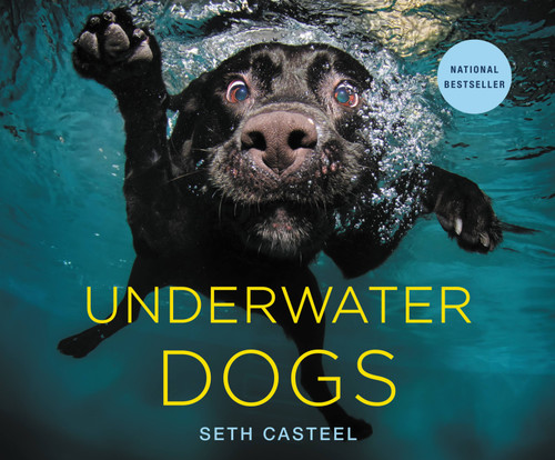 Underwater Dogs by Seth Casteel, 9780316227704