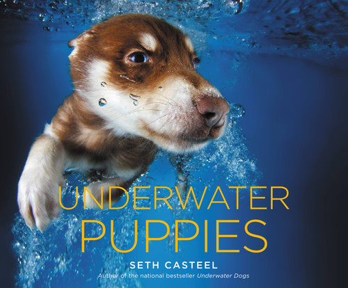 Underwater Puppies by Seth Casteel, 9780316254892