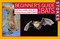 Stokes Beginner's Guide to Bats by Lillian Q. Stokes, Donald Stokes, Kim Williams, Rob Mies, 9780316816588