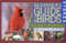 Stokes Beginner's Guide to Birds (Eastern Region) by Donald Stokes, Lillian Stokes, 9780316818117