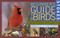 Stokes Beginner's Guide to Birds (Eastern Region) by Donald Stokes, Lillian Q. Stokes, 9780316818117