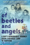 Of Beetles and Angels (A Boy's Remarkable Journey from a Refugee Camp to Harvard) by Mawi Asgedom, 9780316826204