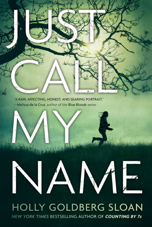 Just Call My Name by Holly Goldberg Sloan, 9780316122825