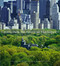 Central Park, An American Masterpiece (A Comprehensive History of the Nation's First Urban Park) by Sara Cedar Miller, 9780810939462
