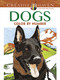 Creative Haven Dogs Color by Number Coloring Book by Diego Jourdan Pereira, 9780486804477
