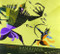 Ramayana (Divine Loophole) by Sanjay Patel, 9780811871075