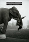 Natural History (Poems) by Dan Chiasson, 9780375711152