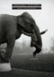 Natural History (Poems) by Dan Chiasson, 9780375711152