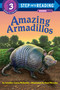 Amazing Armadillos by Jennifer Mckerley, Paul Mirocha, 9780375843525
