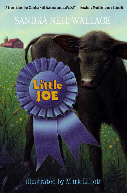 Little Joe by Sandra Neil Wallace, Mark Elliott, 9780375854507