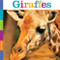 Seedlings: Giraffes by Kate Riggs, 9780898127836