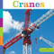 Seedlings: Cranes by Aaron Frisch, 9780898128840