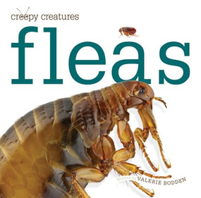 Creepy Creatures: Fleas by Valerie Bodden, 9780898129342