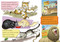 What Cat Is That? All About Cats by Tish Rabe, Aristides Ruiz, Joe Mathieu, 9780375866401