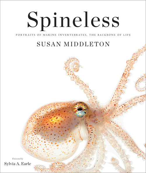 Spineless (Portraits of Marine Invertebrates, the Backbone of Life) - 9781419710070 by Susan Middleton, Sylvia A. Earle, 9781419710070