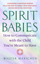 Spirit Babies (How to Communicate with the Child You're Meant to Have) by Walter Makichen, 9780385338127
