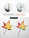 The Realism Challenge (Drawing and Painting Secrets from a Modern Master of Hyperrealism) by Mark Crilley, 9780385346290