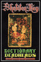 Skeleton Key (A Dictionary for Deadheads) by David Shenk, Steve Silberman, 9780385474023