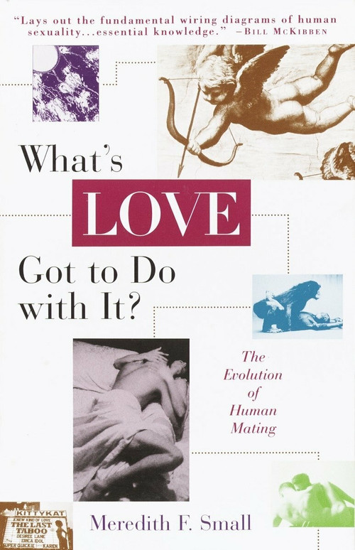 What's Love Got to Do with It? (The Evolution of Human Mating) by Meredith Small, 9780385477024