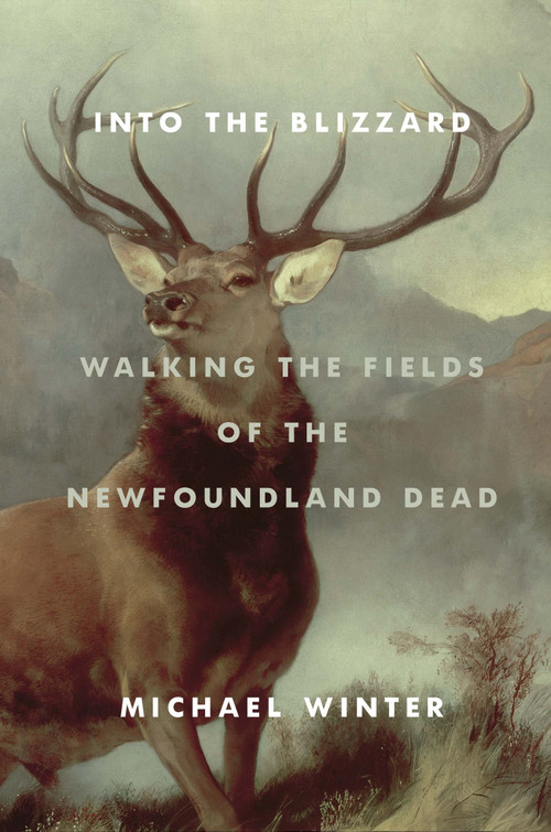 Into the Blizzard (Walking the Fields of the Newfoundland Dead) by Michael Winter, 9780385677851