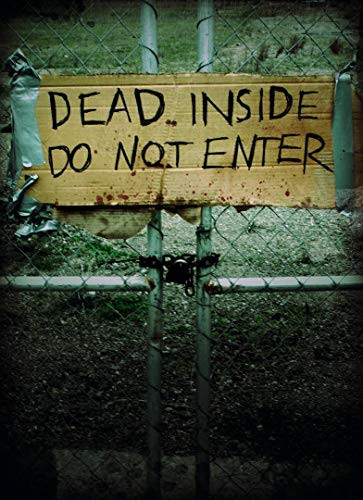 Dead Inside: Do Not Enter (Notes from the Zombie Apocalypse) by Lost Zombies, 9781452101088