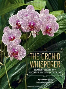 The Orchid Whisperer (Expert Secrets for Growing Beautiful Orchids) by Bruce Rogers, 9781452101286