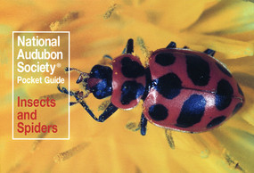 National Audubon Society Pocket Guide: Insects and Spiders by National Audubon Society, 9780394757926