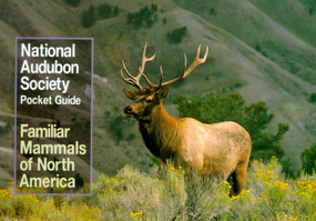 National Audubon Society Pocket Guide to Familiar Mammals by National Audubon Society, 9780394757964