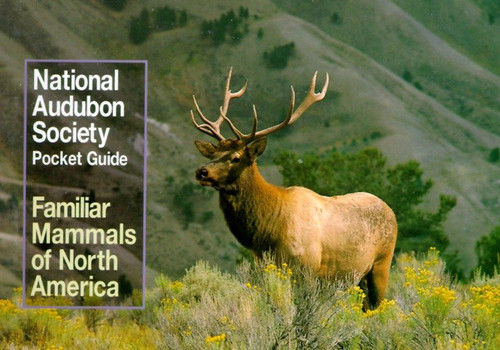 National Audubon Society Pocket Guide to Familiar Mammals by National Audubon Society, 9780394757964