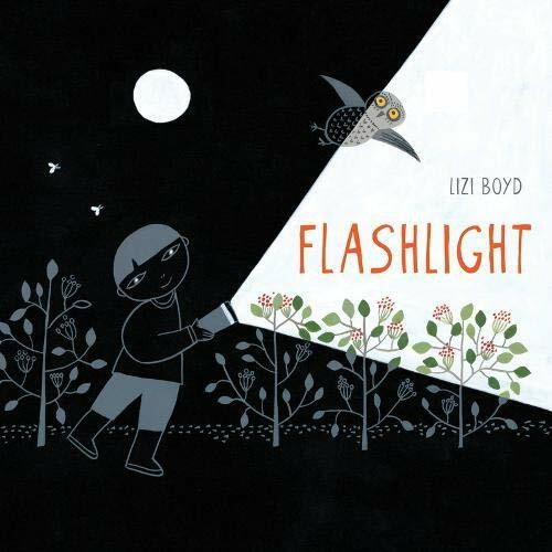 Flashlight ((Picture Books, Wordless Books for Kids, Camping Books for Kids, Bedtime Story Books, Children's Activity Books, Children's Nature Books)) by Lizi Boyd, 9781452118949