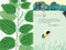 Up in the Garden and Down in the Dirt ((Spring Books for Kids, Gardening for Kids, Preschool Science Books, Children's Nature Books)) by Kate Messner, Christopher Silas Neal, 9781452119366