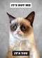 Grumpy Cat (A Grumpy Book (Unique Books, Humor Books, Funny Books for Cat Lovers)) by Grumpy Cat, 9781452126579