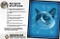 Grumpy Cat (A Grumpy Book (Unique Books, Humor Books, Funny Books for Cat Lovers)) by Grumpy Cat, 9781452126579