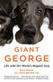 Giant George (Life with the World's Biggest Dog) by Dave Nasser, Lynne Barrett-Lee, 9781455511440