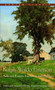 Ralph Waldo Emerson (Selected Essays, Lectures and Poems) by Ralph Waldo Emerson, 9780553213881