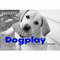Dogplay (The Canine Guide to Being Happy) by Kim Levin, Christine Montaquila, 9781584798279