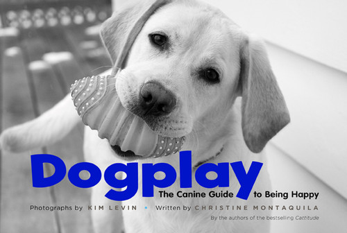 Dogplay (The Canine Guide to Being Happy) by Kim Levin, Christine Montaquila, 9781584798279