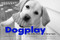 Dogplay (The Canine Guide to Being Happy) by Kim Levin, Christine Montaquila, 9781584798279