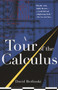 A Tour of the Calculus by David Berlinski, 9780679747888