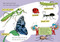 On Beyond Bugs! All About Insects by Tish Rabe, Aristides Ruiz, 9780679873037