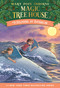 Dolphins at Daybreak by Mary Pope Osborne, Sal Murdocca, 9780679883388
