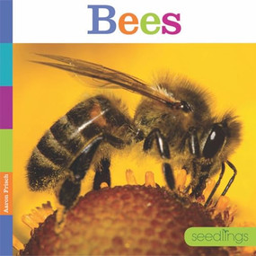 Seedlings: Bees by Aaron Frisch, 9781628320381