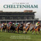 Little Book of Cheltenham by Catherine Austen, Nicky Henderson, 9781782812517