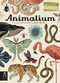 Animalium (Welcome to the Museum) by Jenny Broom, Katie Scott, 9780763675080