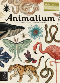 Animalium (Welcome to the Museum) by Jenny Broom, Katie Scott, 9780763675080