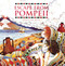 Escape from Pompeii by Christina Balit, 9781845070595