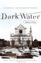 Dark Water (Art, Disaster, and Redemption in Florence) by Robert Clark, 9780767926492