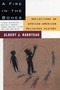 A Fire in the Bones (Reflections on African-American Religious History) by Albert J. Raboteau, 9780807009338